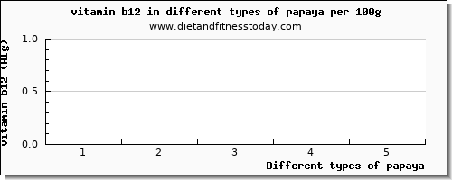 papaya vitamin b12 per 100g